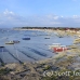 farming_seaweed_nlem_h_0504_bal3770.jpg